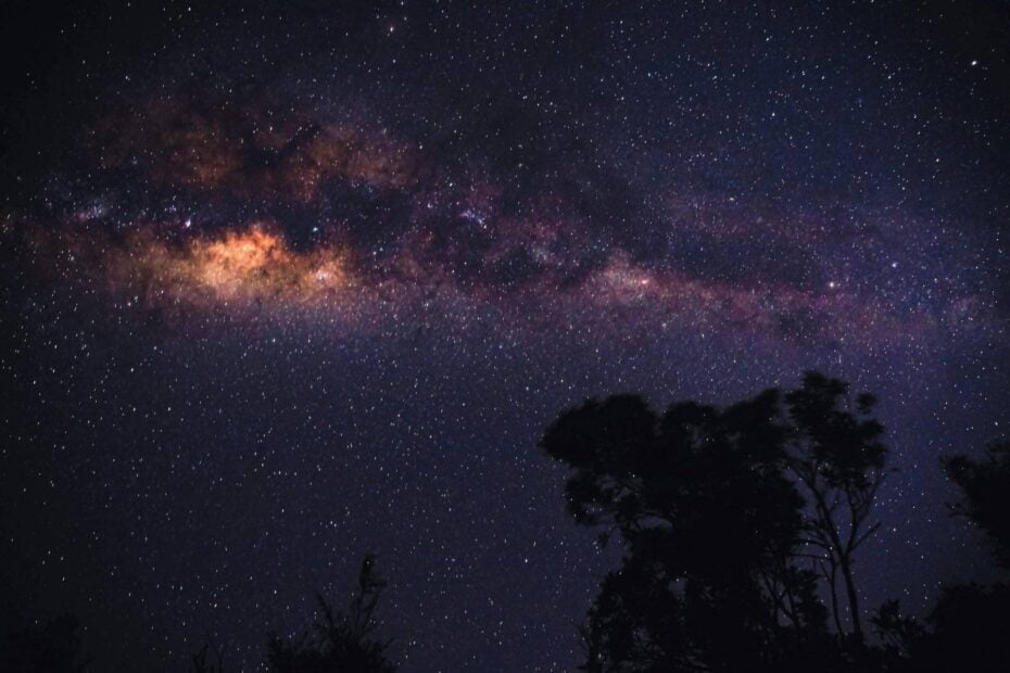 a starry night sky with trees